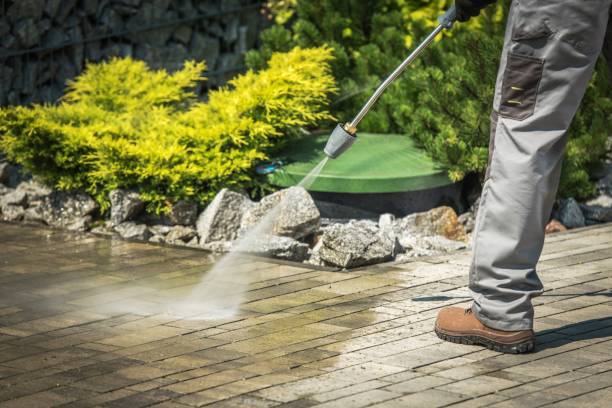 Best Soft Washing  in St Charles, MN