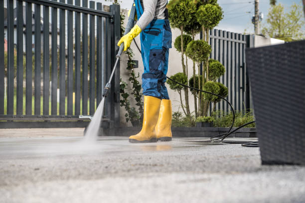 Best Gutter Cleaning  in St Charles, MN